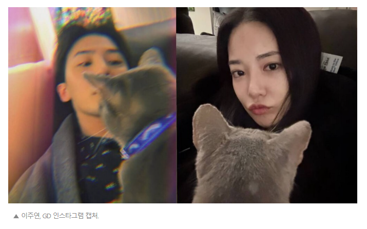 지드래곤 이주연 같은집 셀카